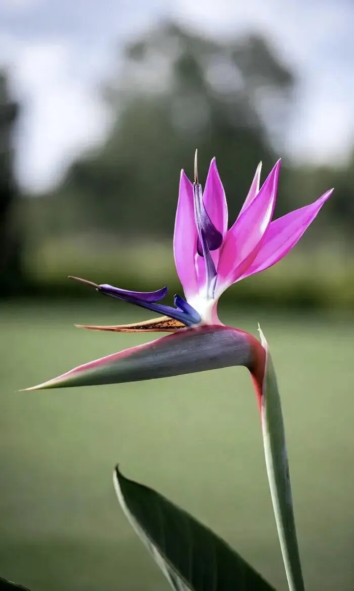 百日誓师,青春出征——致2026中考:愿每一份努力,都不负少年锋芒 第9张