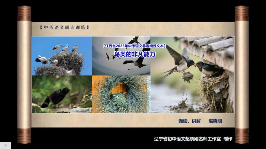 【中考阅读指导】鸟类的非凡能力(非连续性文本)江西2025 第2张