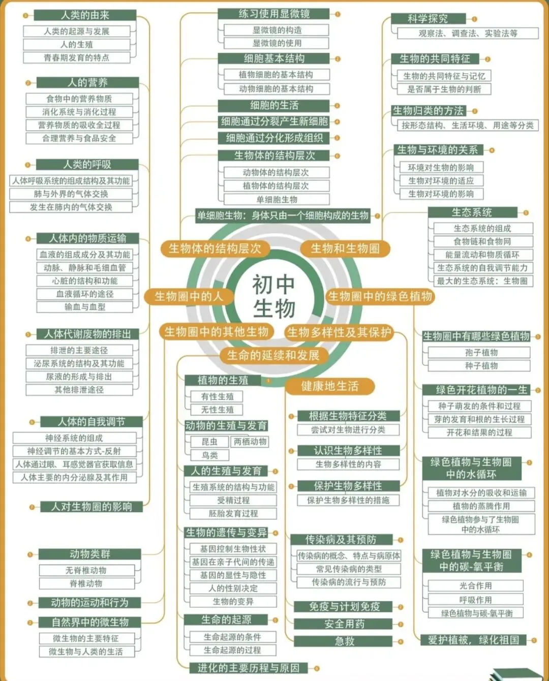 一张图看懂初中全科学什么|中考必看 第9张