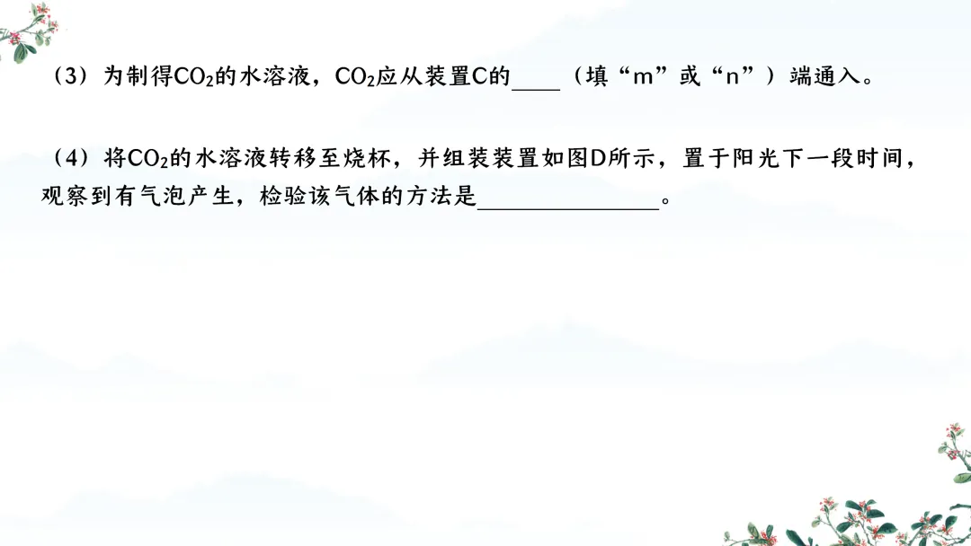 F588 备战中考2026 专题复习 优质课资源 初中化学《专题复习--常见气体的制取、干燥、净化、检验 》课件PPT+教学设计Word 第24张