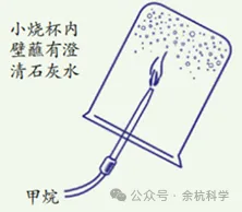 【中考复习】化学专题知识点⑥:常见的有机物 能源利用 第14张