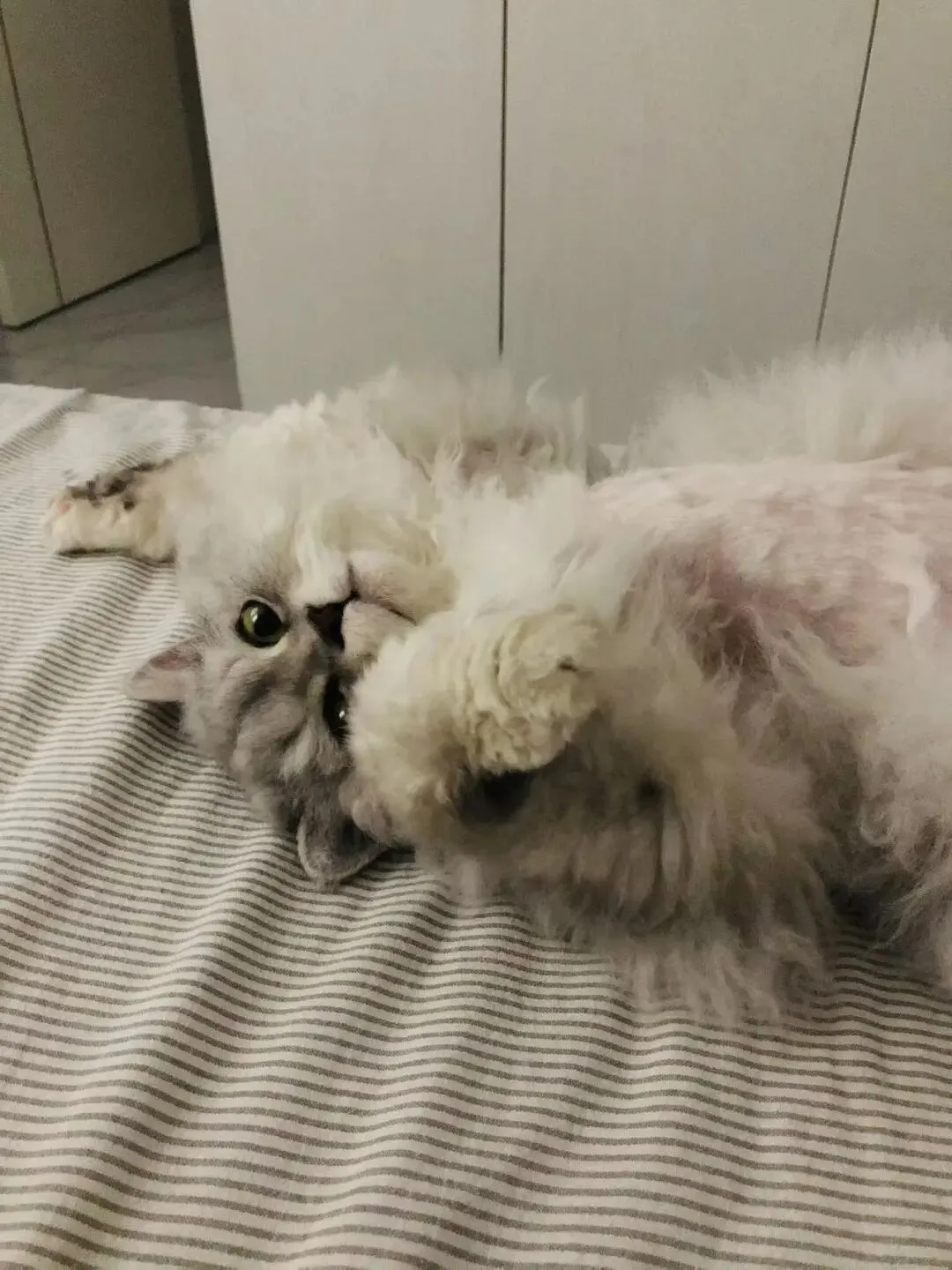 新外研八下 Unit2单词课:课本词+中考高频词三合一通关 第1张