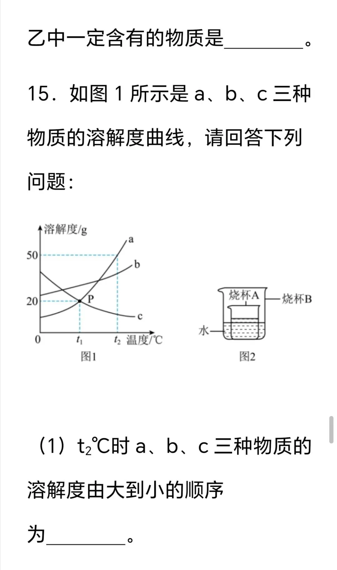 2026年中考第一次模拟考试化学试卷 第17张