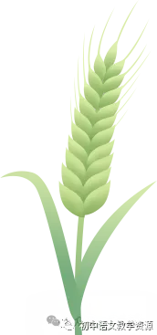 【语病】中考专题:语病典型题目及解析(30题)(可打印) 第4张