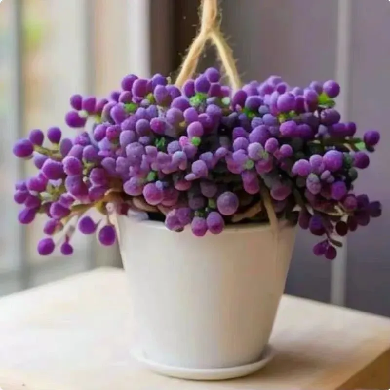 中考英语第一次模拟考试 第2张