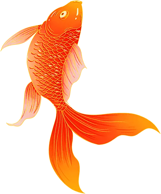 中考英语第一次模拟考试 第4张