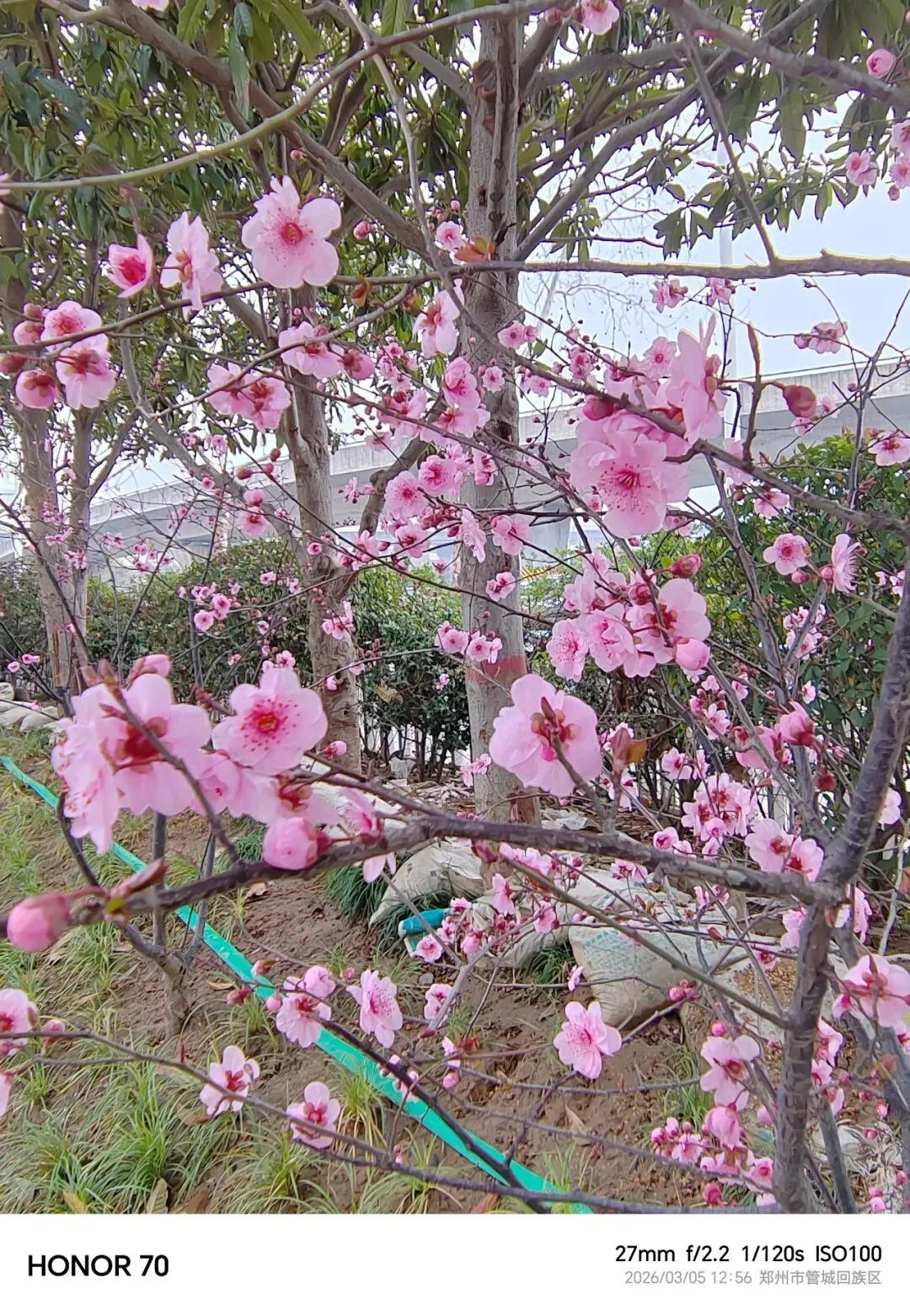 陪伴中考:“两会”开完了,该好好安排接下来要做的事情了 第2张