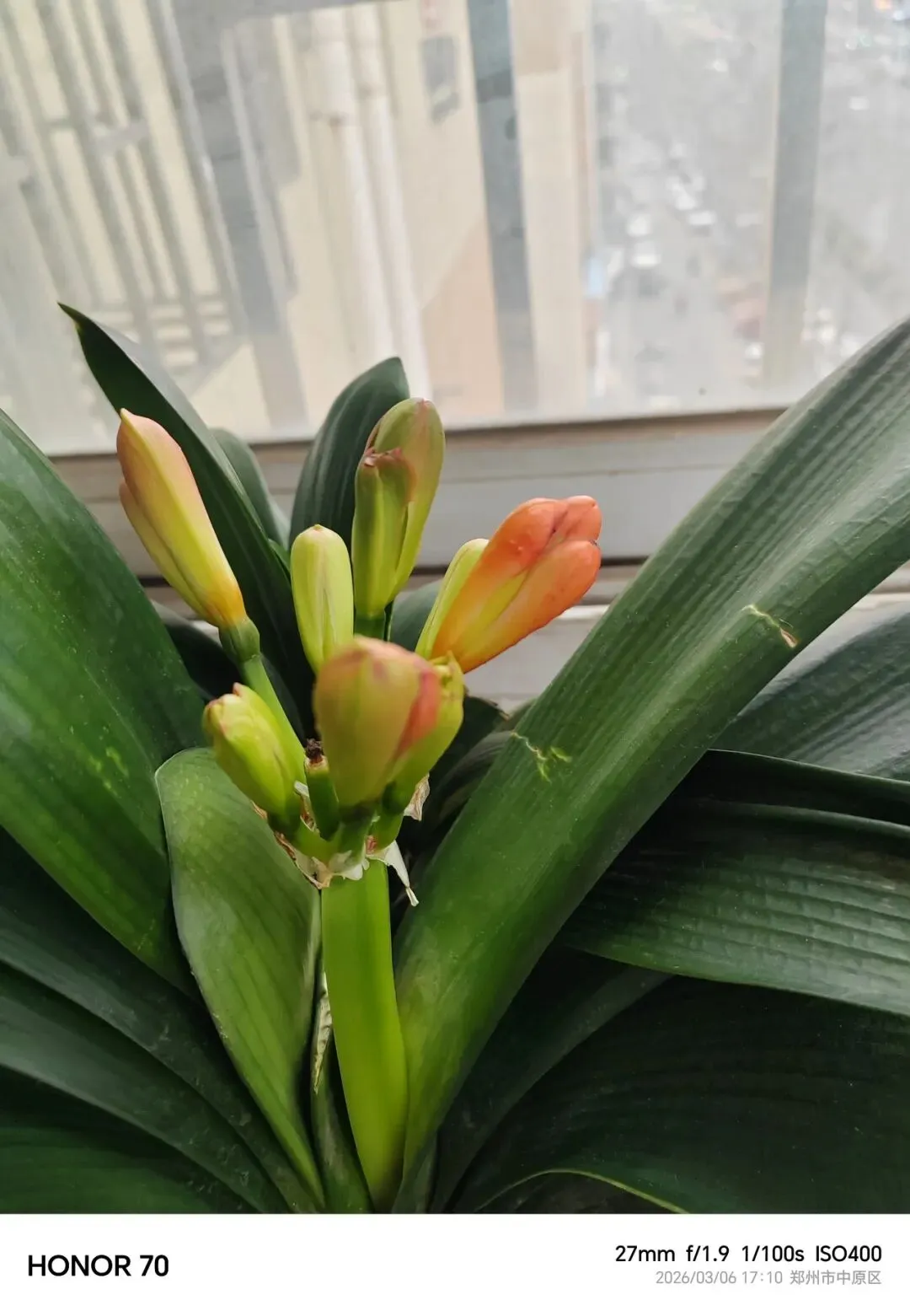 陪伴中考:“两会”开完了,该好好安排接下来要做的事情了 第7张