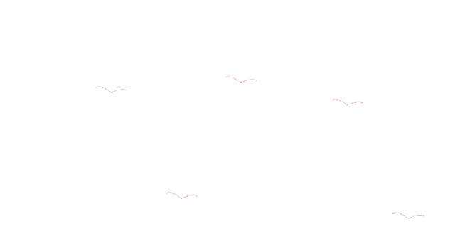 【中考百日】鹏举万里,翼展百日——凤台县永兴中学2026年春学期开学典礼暨百日冲刺动员大会圆满举行! 第1张