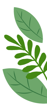 百日冲刺战中考,一鼓作气创辉煌!——铜陵市外国语学校2026届百日誓师大会隆重举行 第2张