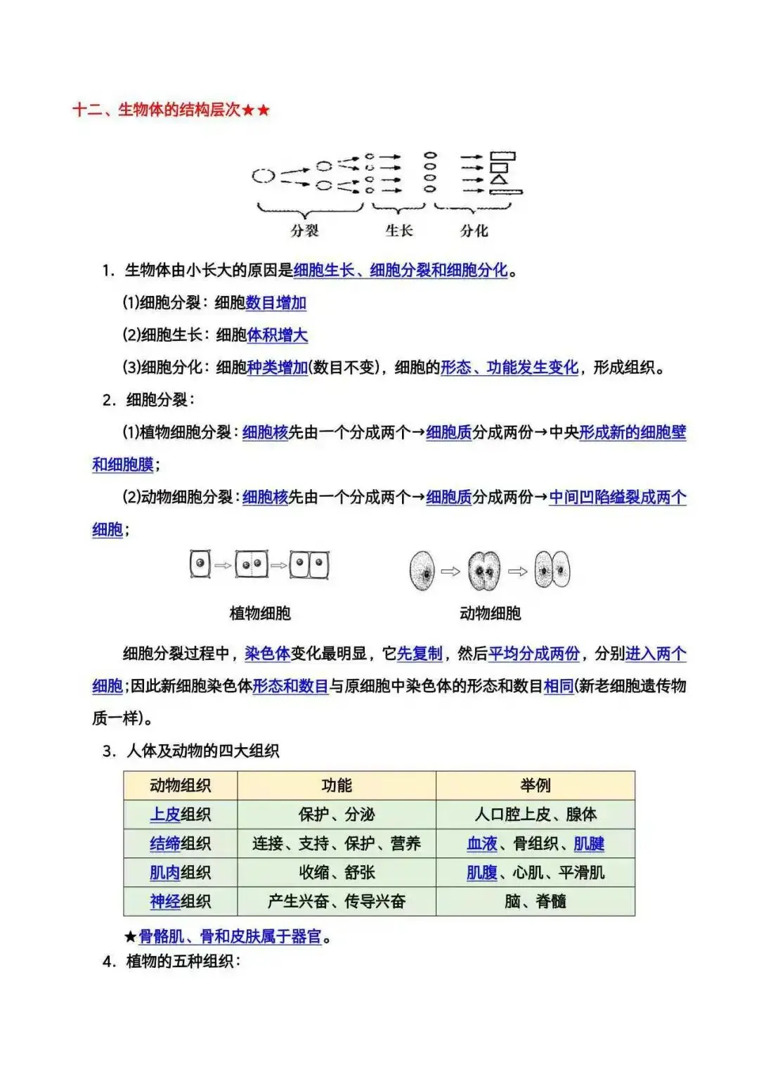 中考生物必背知识点|开学冲刺版 第7张