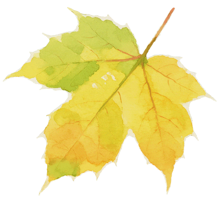 26济南中考升学指南百科全书!一书精讲济南中考最新政策、各校考情、招录数据 第11张