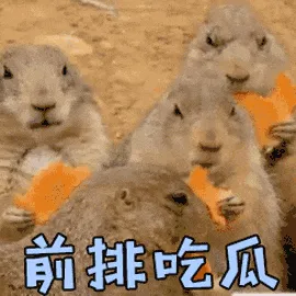 中考 “地狱区” 闵行:小升初怎么办? 第1张