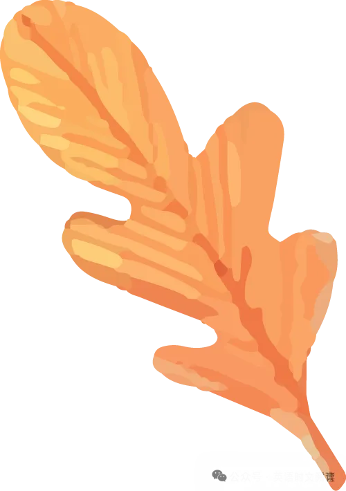 中考英语必背300个高频短语汇总(分组背诵版),考前复习直接用! 第9张