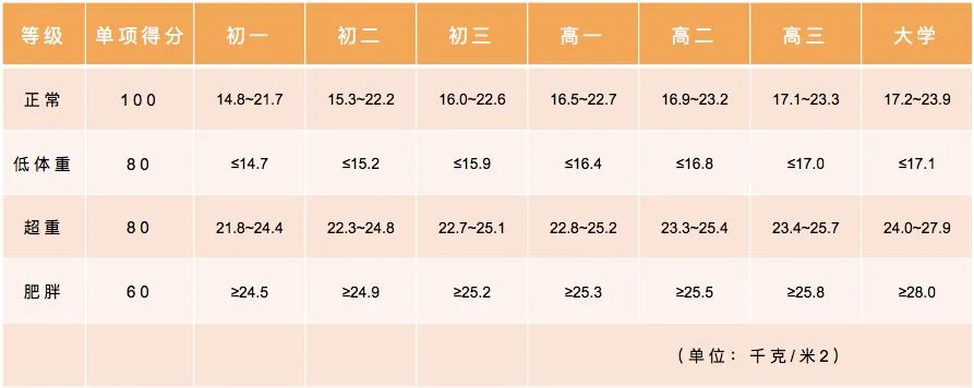 中小学各年级学生体质健康标准,中考体育标准也依此制定 第9张