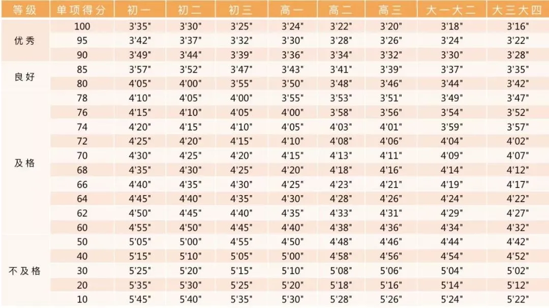 中小学各年级学生体质健康标准,中考体育标准也依此制定 第62张