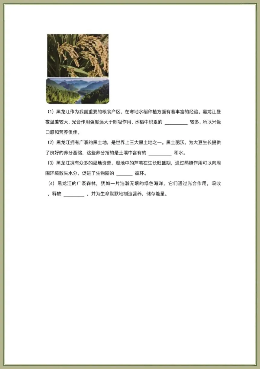 中考生物|2026春新生物会考一轮复习《植物的生活》电子版可下载打印 第8张