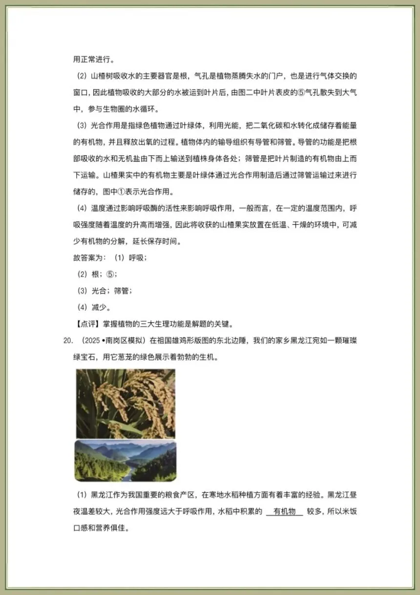 中考生物|2026春新生物会考一轮复习《植物的生活》电子版可下载打印 第12张