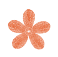 2026届中考政策宣传解读暨中考备考动员 第6张