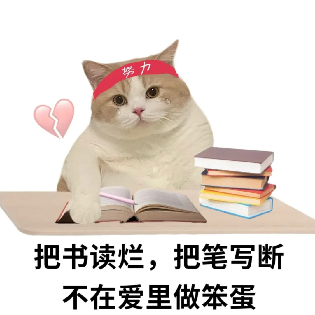 中考倒计时100天:7天无痛背单词技巧(超全总结篇)丨你不是记不住,是方法一开始就错了 第8张