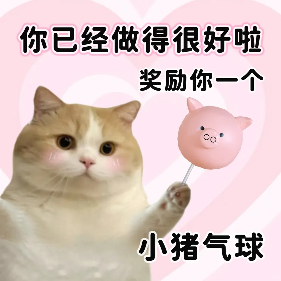 中考倒计时100天:7天无痛背单词技巧(超全总结篇)丨你不是记不住,是方法一开始就错了 第11张