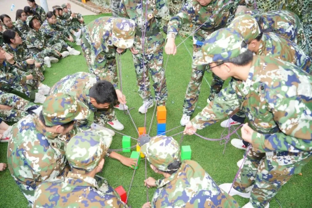 励志拼搏,奋战初三;冲刺中考,圆梦自我——海湾中学初三年级社会实践活动圆满举办 第30张