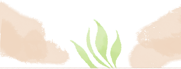 【招生信息】城北中心2026素描中考集训班 第6张