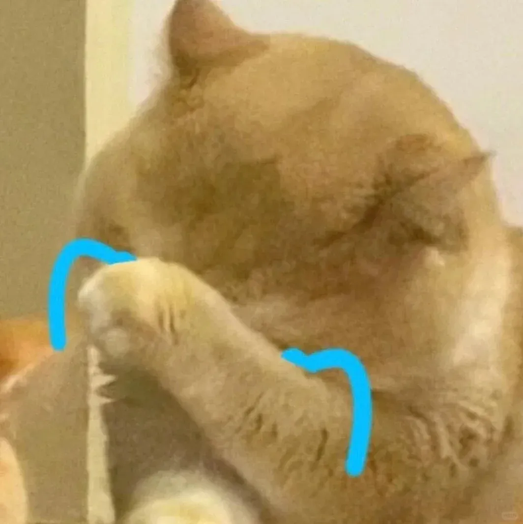 中考倒计时100天:7天无痛背单词技巧(超全总结篇)丨你不是记不住,是方法一开始就错了 第18张