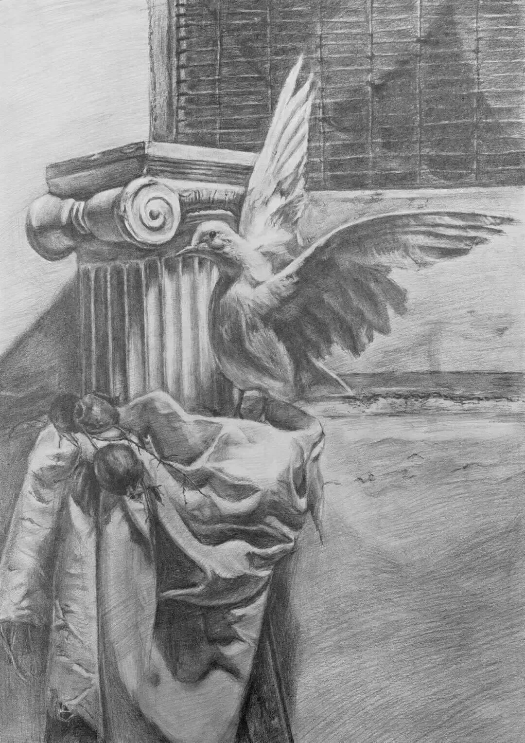 【招生信息】城北中心2026素描中考集训班 第15张