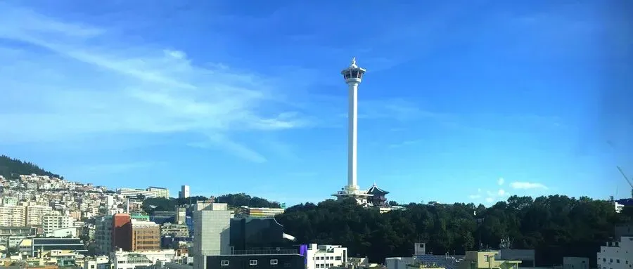 中考分流怕没出路?日韩留学这条路,中等成绩也能上名校 第23张