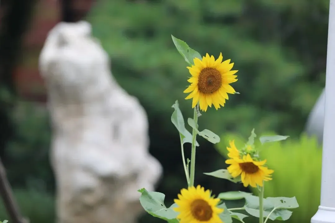 离中考99天丨久久为功,久久归一 第1张