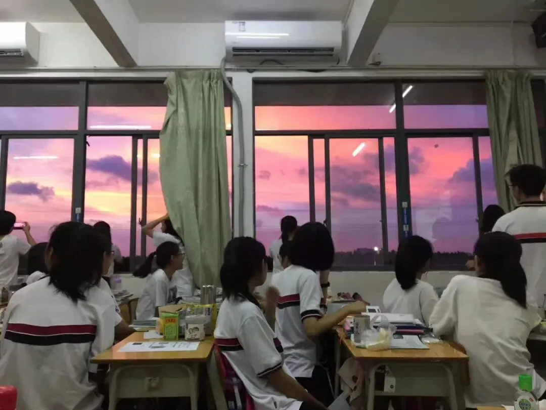 中考改革,委员建议学制缩短至10年,逐步取消中考.别慌!但杨振宁先生的话真扎心了 第1张