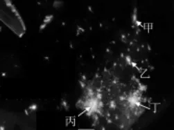 【鸣识优学家】中考地理·真题分类卷·地球的宇宙环境(一)·地球仪(二) 第6张