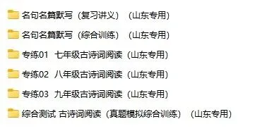 山东中考语文“提分套装”来了!基础/阅读/写作全覆盖! 第3张