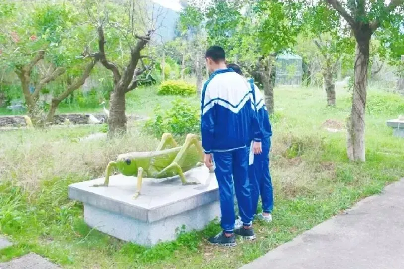 中考出分!最新通知!抓住机会上普高! 第19张