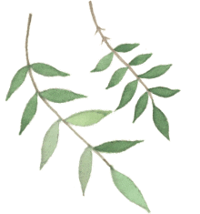 【2026中考语文复习】古诗词专题课件集合 第3张