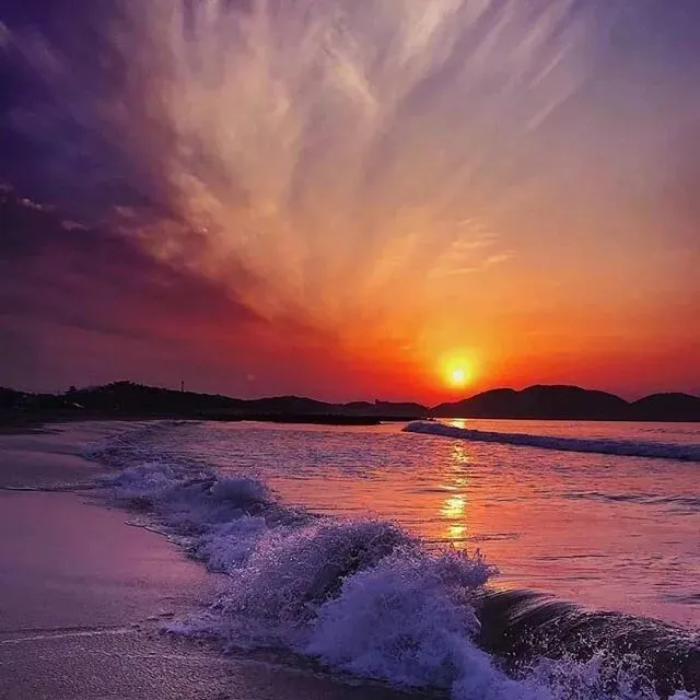 2026年中考语文二轮复习整本书阅读专题:精读跳读,主题勾连 第1张