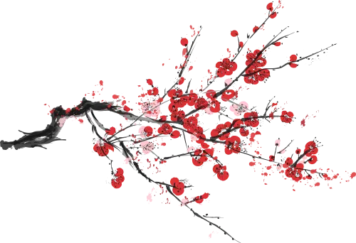 【最新版2026中考总复习】非文学作品阅读:说明文阅读·考点讲解、训练 第1张