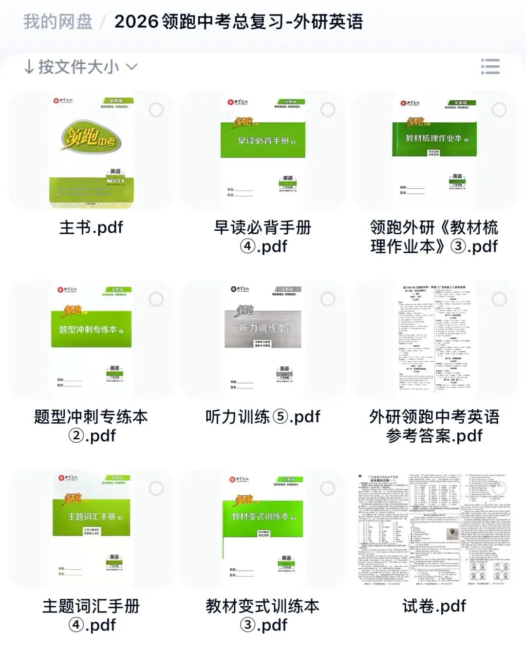 2026领跑中考英语外研版广东专版 第20张