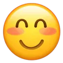 中考语文之议论文阅读《忍受枯燥是一种筛选机制》 第3张