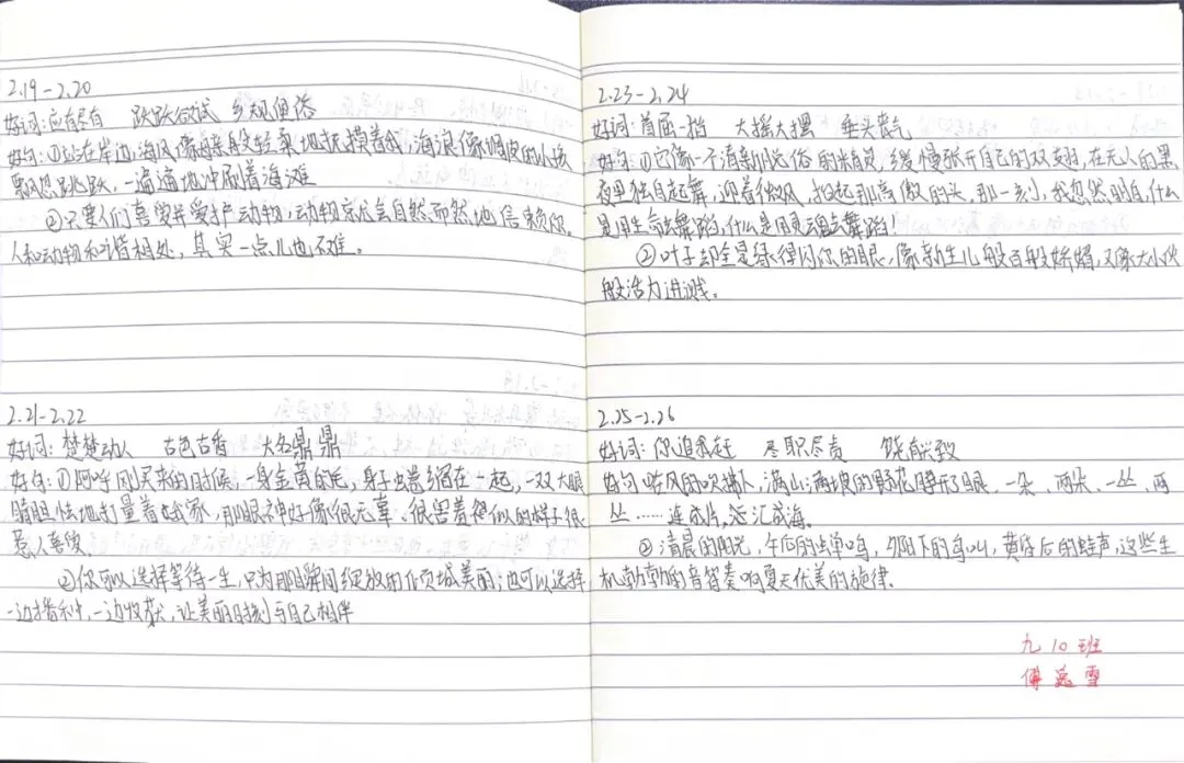 学科聚力备中考,厚积薄发迎骏程|龙南三中九年级2026年寒假实践作业成果展 第17张