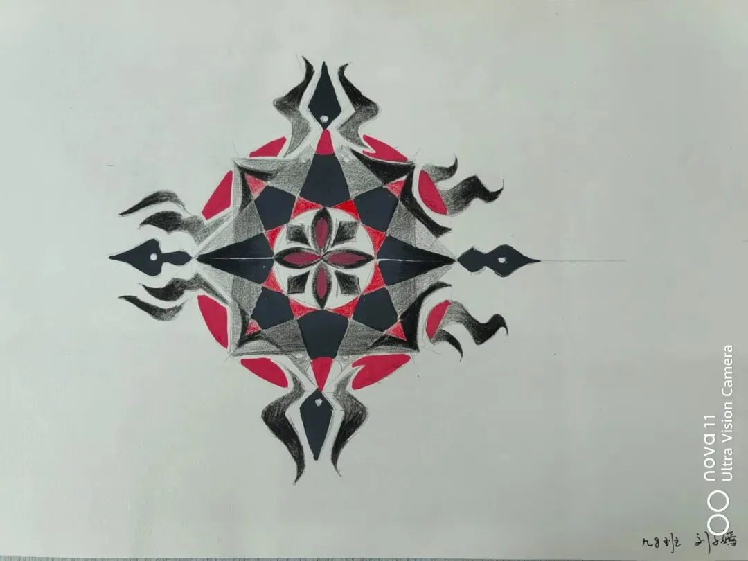 学科聚力备中考,厚积薄发迎骏程|龙南三中九年级2026年寒假实践作业成果展 第27张