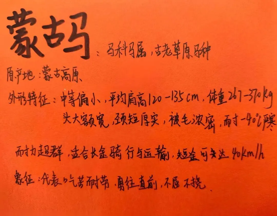 学科聚力备中考,厚积薄发迎骏程|龙南三中九年级2026年寒假实践作业成果展 第48张