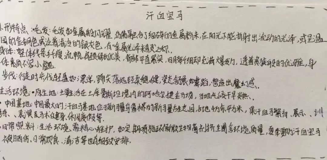 学科聚力备中考,厚积薄发迎骏程|龙南三中九年级2026年寒假实践作业成果展 第49张