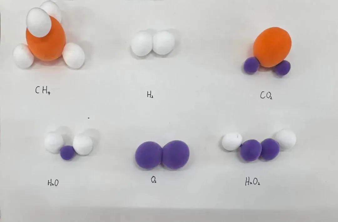 学科聚力备中考,厚积薄发迎骏程|龙南三中九年级2026年寒假实践作业成果展 第64张