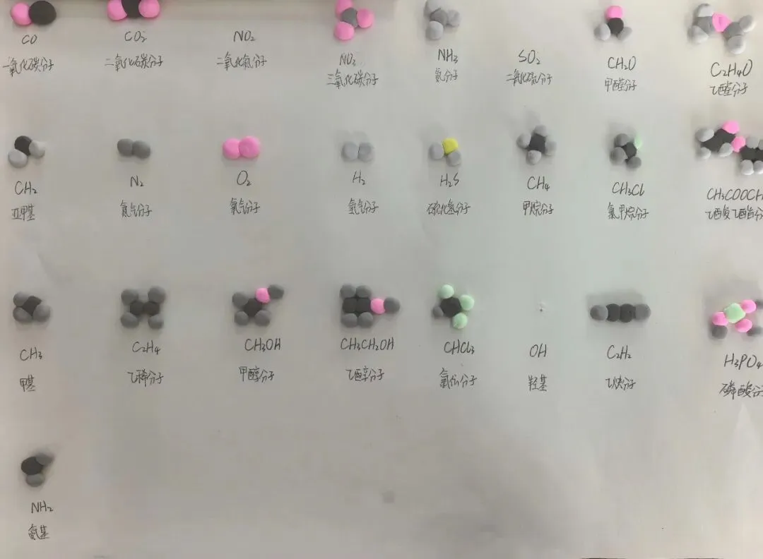 学科聚力备中考,厚积薄发迎骏程|龙南三中九年级2026年寒假实践作业成果展 第66张