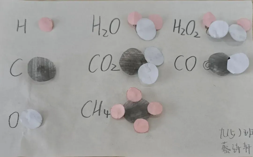 学科聚力备中考,厚积薄发迎骏程|龙南三中九年级2026年寒假实践作业成果展 第69张