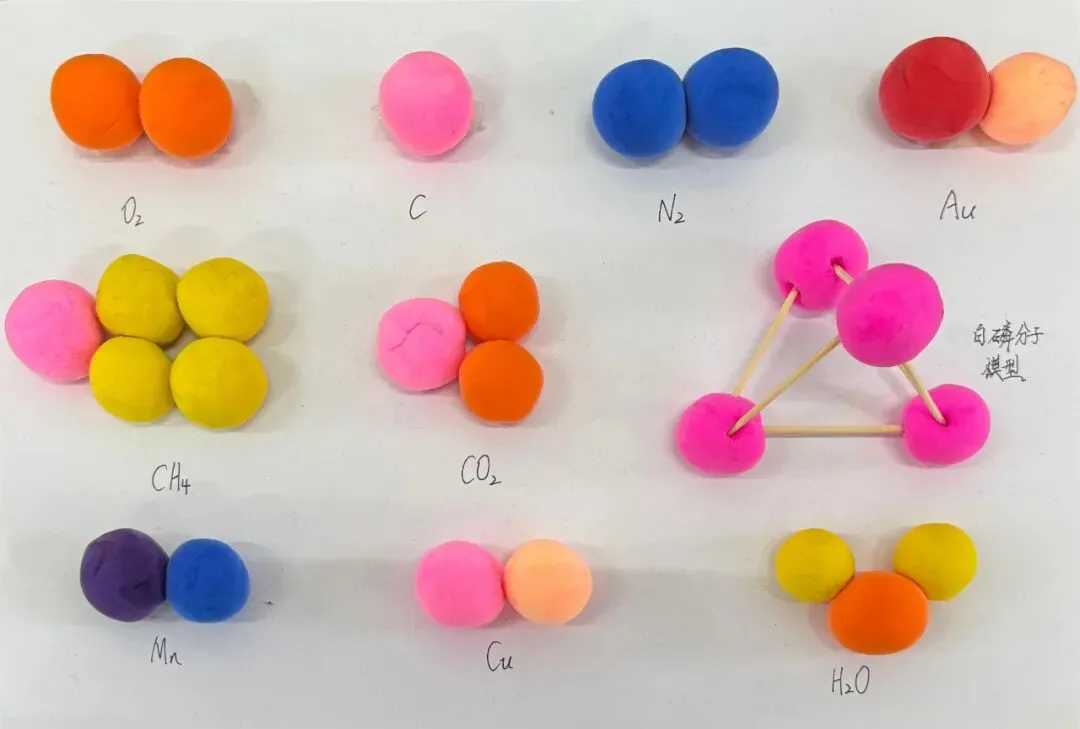 学科聚力备中考,厚积薄发迎骏程|龙南三中九年级2026年寒假实践作业成果展 第73张