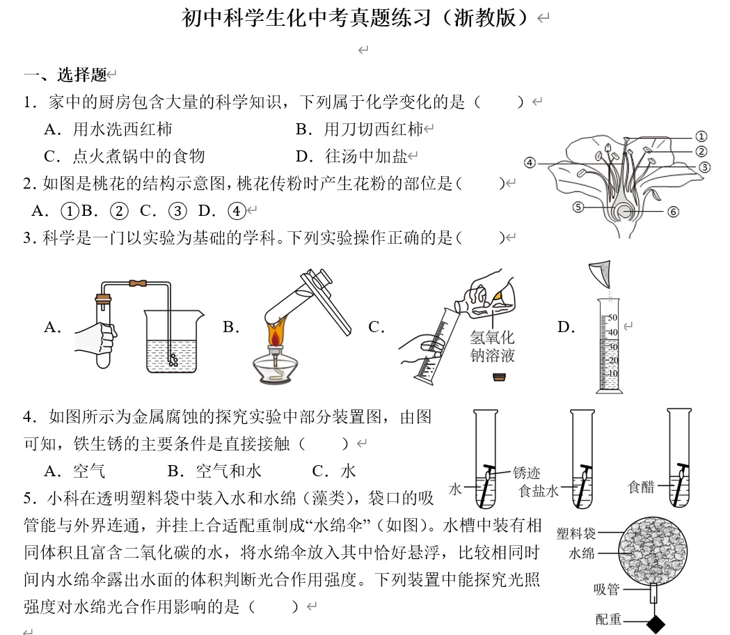 中考科学刷刷刷一(浙教版) 第1张
