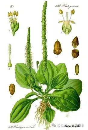 【中考真题】|2024年19省市中考历史论述类题集锦(供参考,建议收藏) 第1张